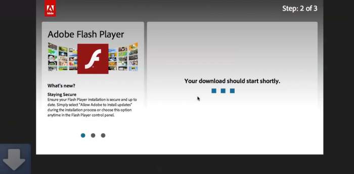 Flash Player Download For Mac Pro
